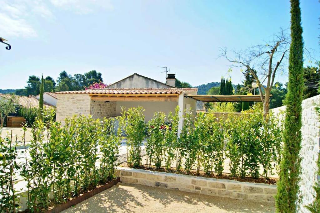 La Maison D'Angele Saint Remy De Provence Villa Exterior photo
